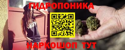 стафф Гатчина