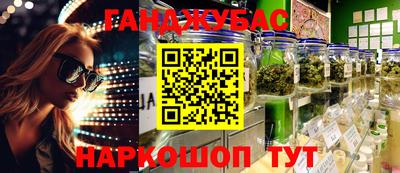 стафф Гатчина