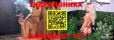стафф Гатчина