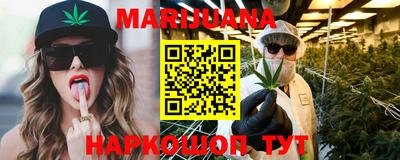 стафф Гатчина
