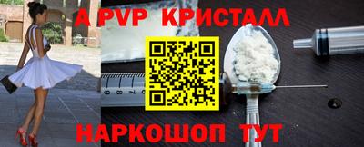 стафф Гатчина