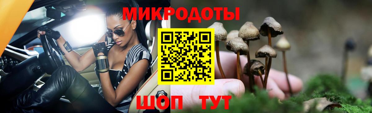 Чехов  Псилоцибиновые грибы MAGIC MUSHROOMS  Вход с VPN 