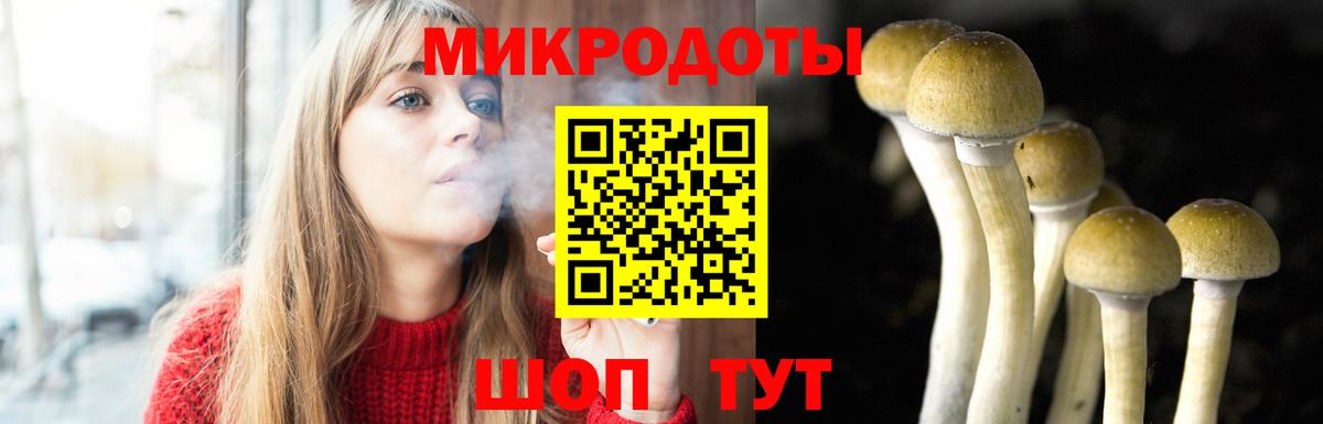 Галлюциногенные грибы Cubensis Чехов